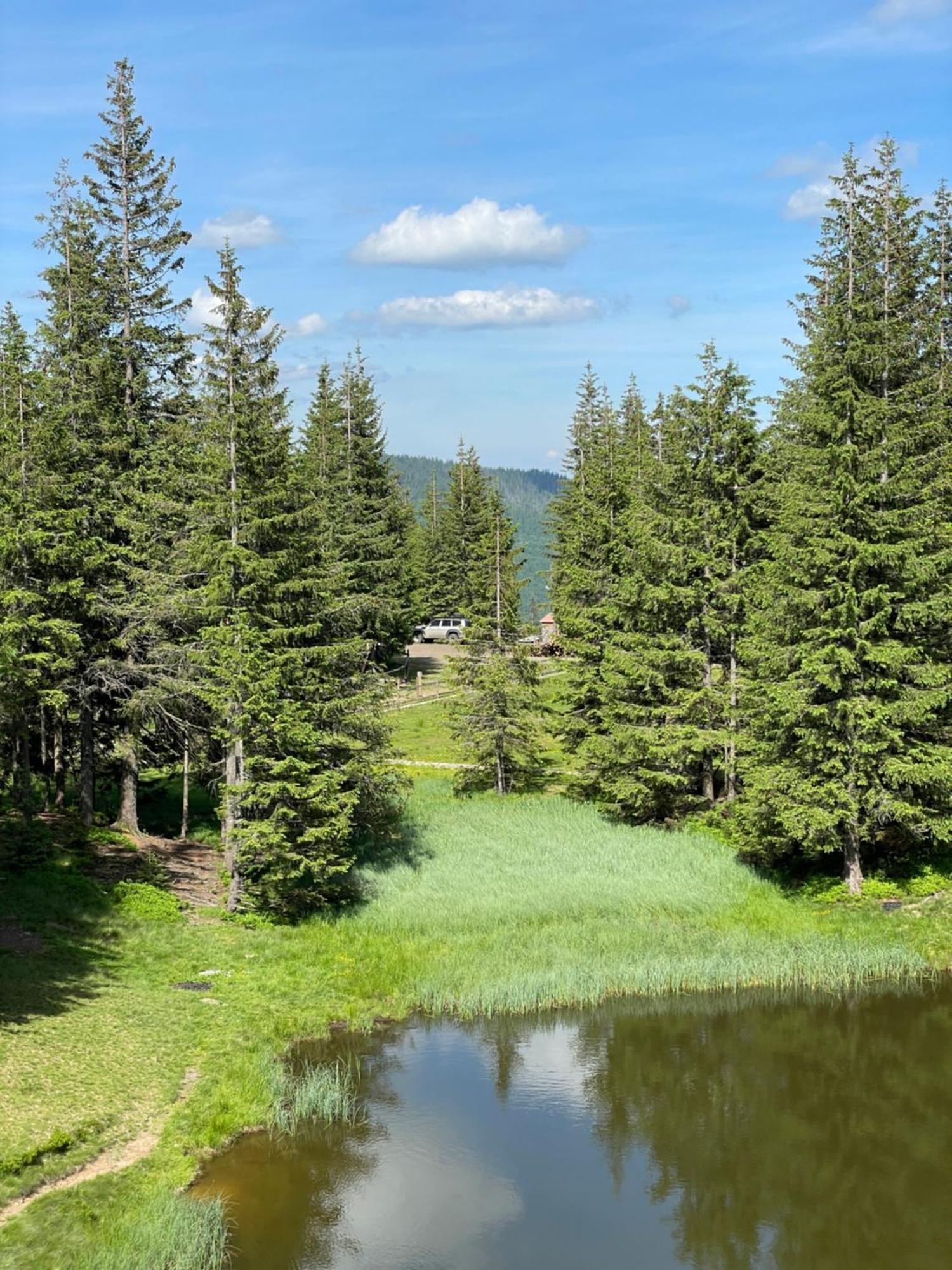 Оаза Hotell Dragobrat Exteriör bild