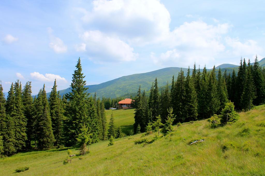 Оаза Hotell Dragobrat Exteriör bild
