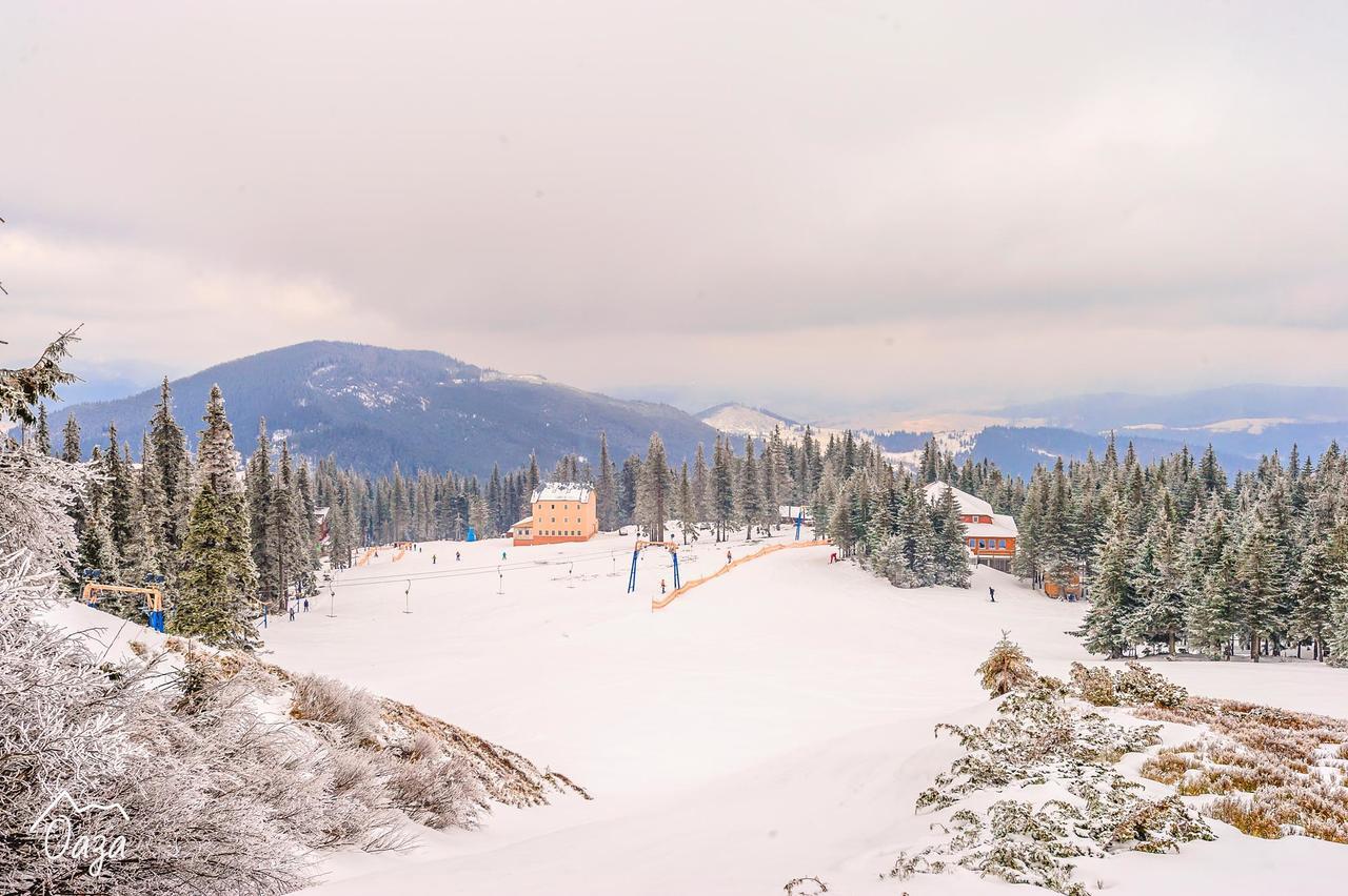 Оаза Hotell Dragobrat Exteriör bild